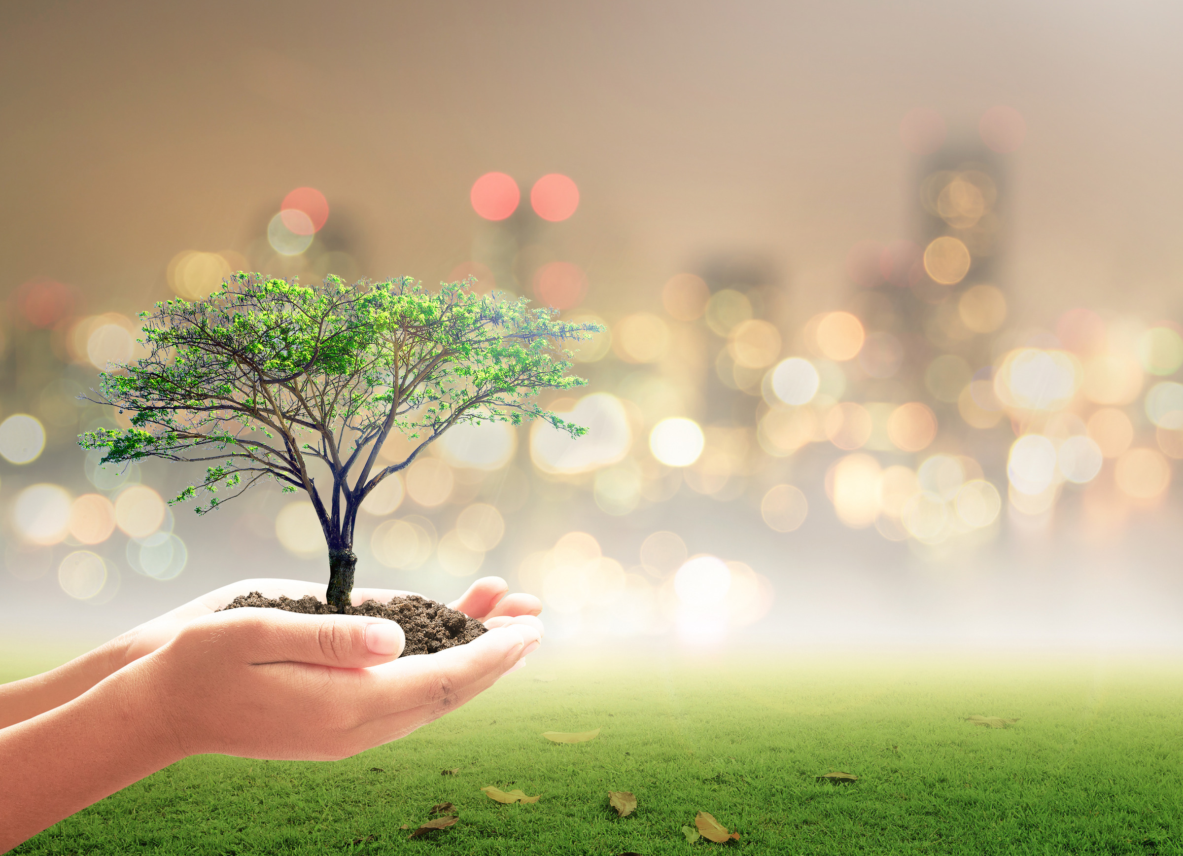 Sustainable Waste Management in Malaysia : Opportunities and Challenges 