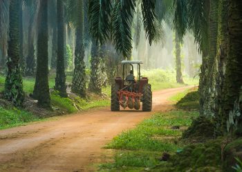 Our Way : Advanced Biofuel