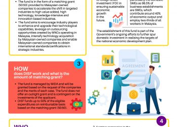 Domestic Investment Strategic Fund (DISF)