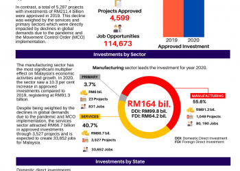 Investment Performance in 2020