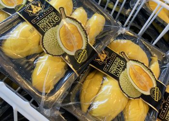 DSR Daily Fresh, A Strategic Homegrown Partnership to Accelerate Malaysia’s Durian Future with Industry 4.0