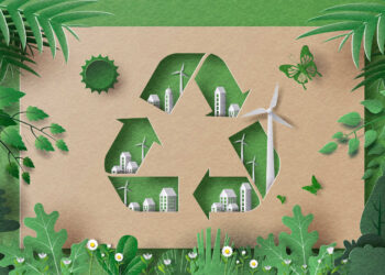 Waste to Energy for A Sustainable Future