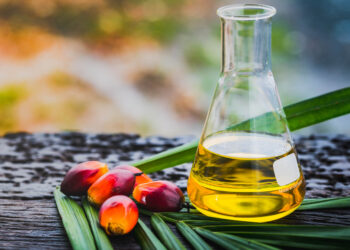 Sustainable Development Goals: The Miracles Of Oil Palm