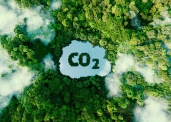 Carbon Pricing: Path Towards Carbon Neutral Growth In Malaysia