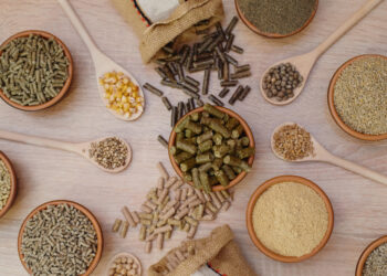 Animal Feed – A Critical Component in the Global Food Chain