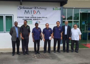 Free The Seed, Growing Beyond Borders