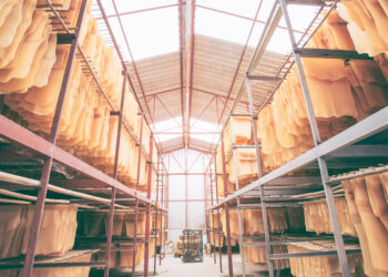 Revitalising Malaysia’s Rubber Industry